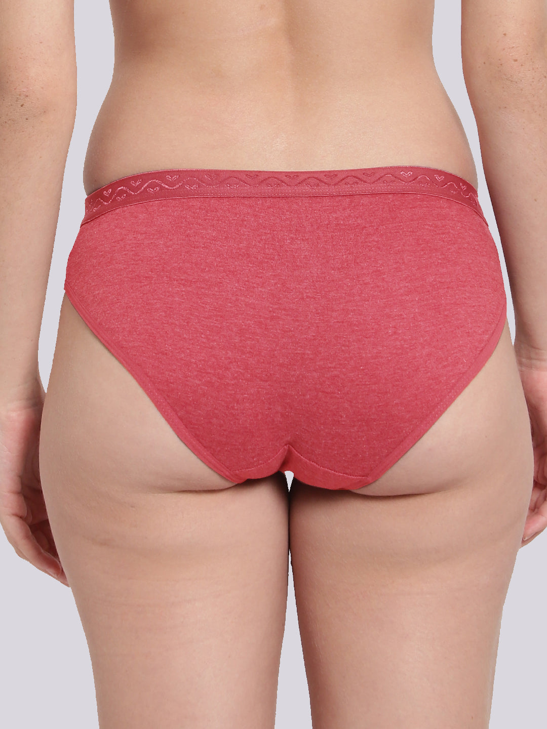 Pack Of 3 Colors Soft Summer Regular Milange Panty Briefs